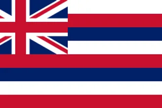 Hawaii state flag