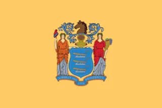 New Jersey state flag